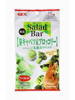 ＧＥＸ　サラダバー　芽キャベツ＆ブロッコリー