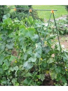 棚支柱セット　ＴＳＫ－２．１（幅１．８×高２．１ｍ）