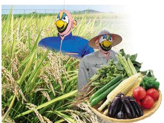 オドシ風船カカシボーイ　Ｋ－００１