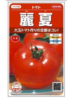 トマト種子　麗夏　トマト