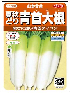 夏秋どり青首大根　献夏青首
