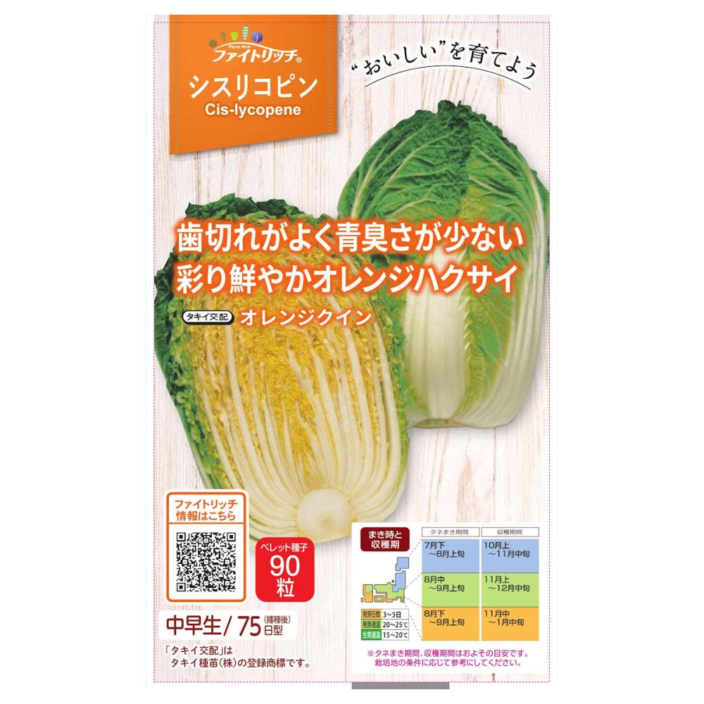 ハクサイオレンジクイン（ファイトリッチ）