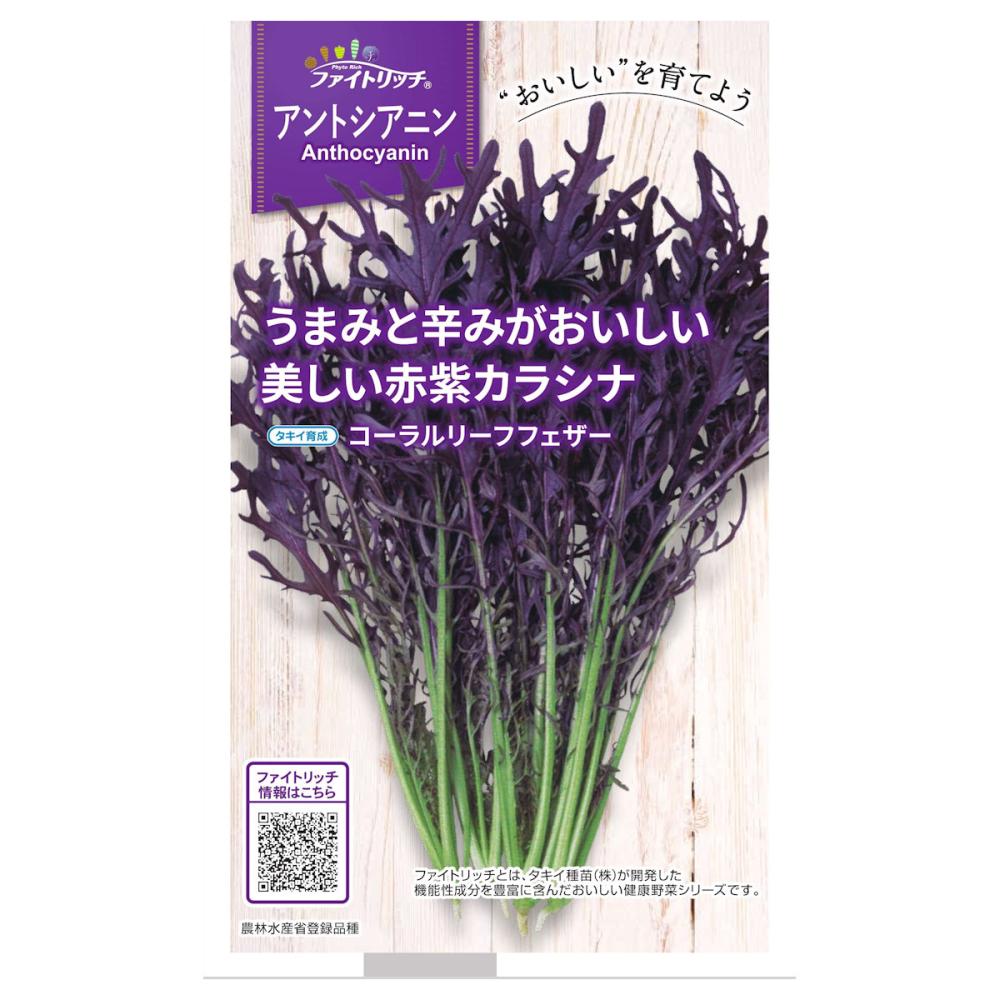 カラシナコーラルリーフフェザー（ファイトリッチ）