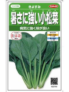 暑さに強い小松菜　きよすみ