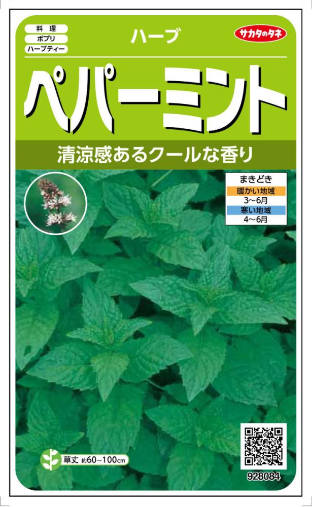 ハーブ種子　ペパーミント