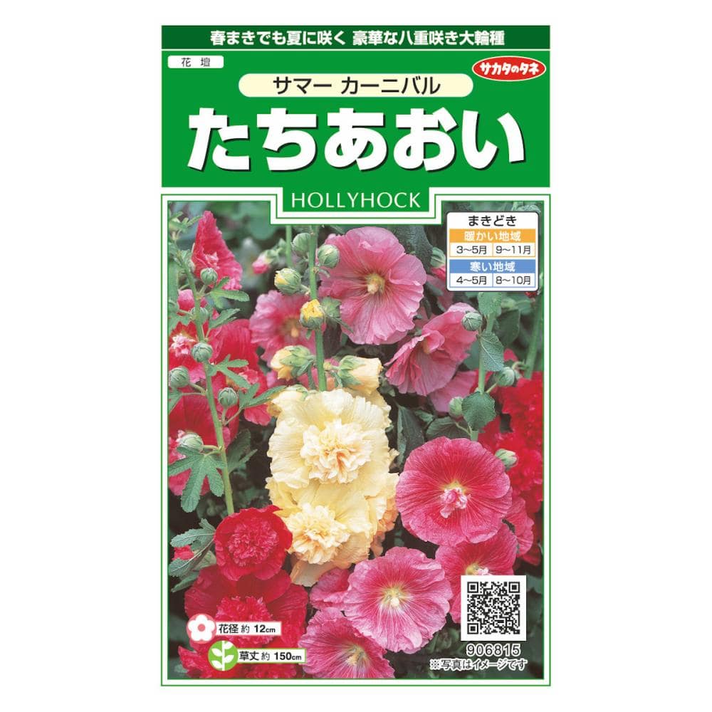 草花種子　ホリホック　サマーカーニバル