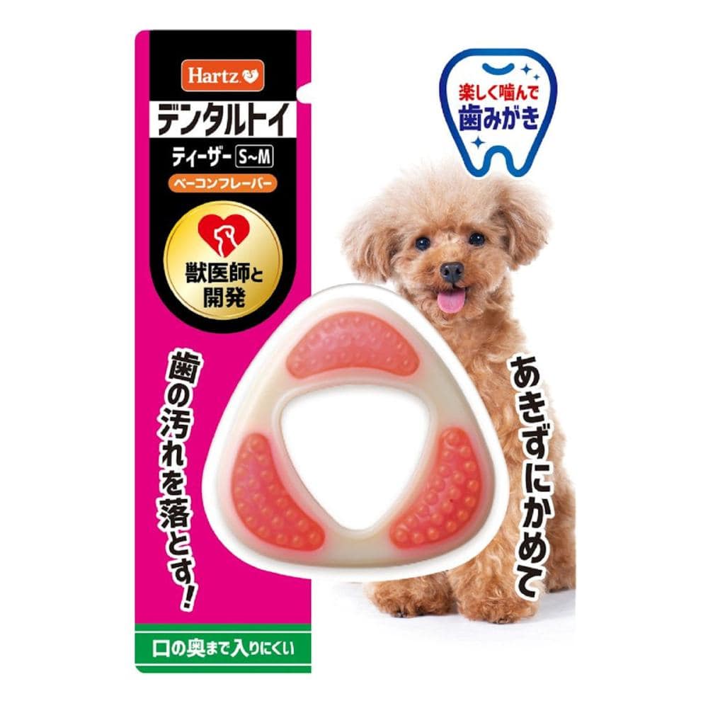 ハーツデンタル　ティーザー　超小型犬