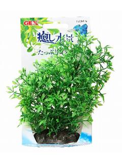 ＧＥＸ　癒し水景　たっぷりロタラ
