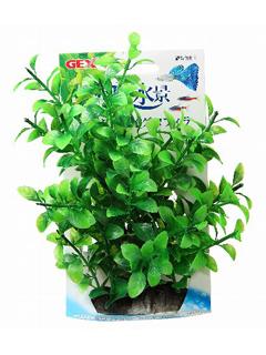 ＧＥＸ　癒し水景　たっぷりハイグロフィラ