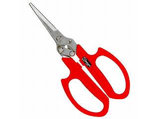 サボテン　３枚刃摘果鋏　Ｎｏ．ＡＧ－１８