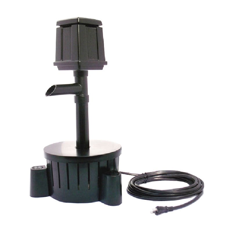 タカラ　のどか