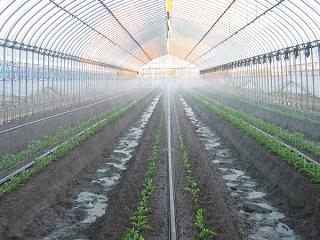 スミサンスイＭ－０３　１００ｍ　ＷＢ８００５