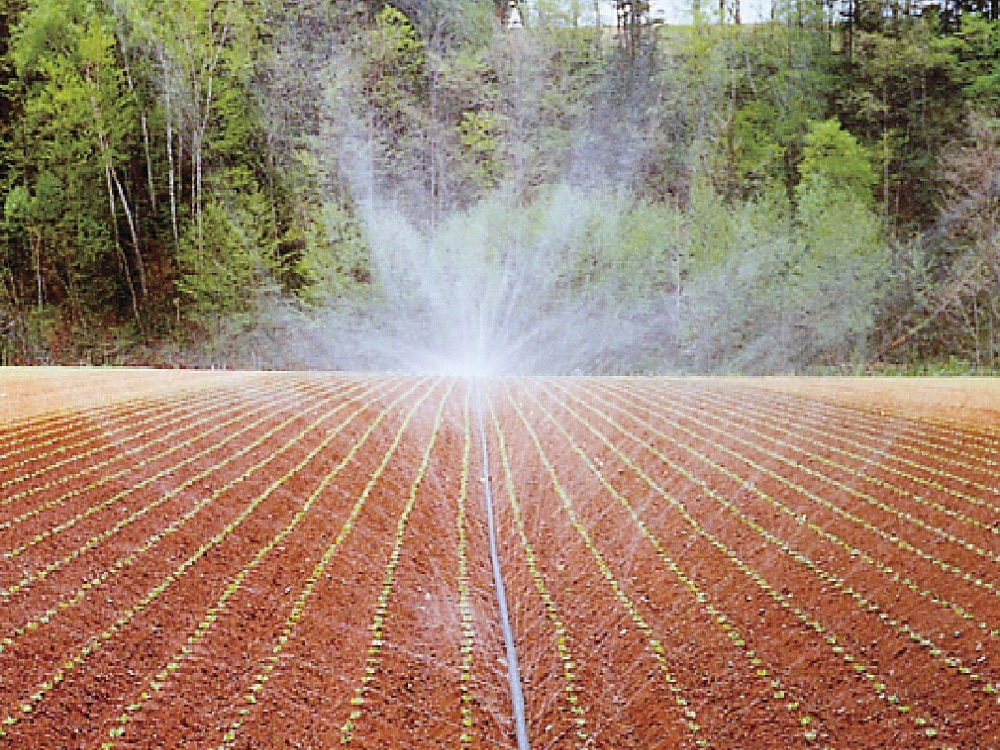 スミレイン４０　５５ｍ　ＷＢ３６１４