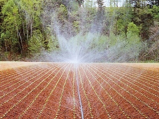 スミレイン４０　１００ｍ　ＷＢ３６１１