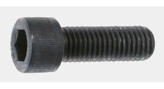 キャップ　１０×１５