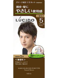 マンダム　ルシード　ワンプッシュケアカラー　５ナチュラルブラウン