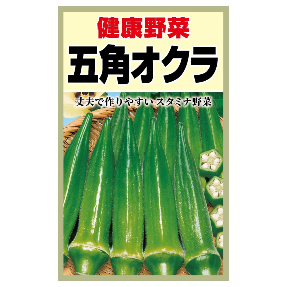 オクラ種子　オクラ