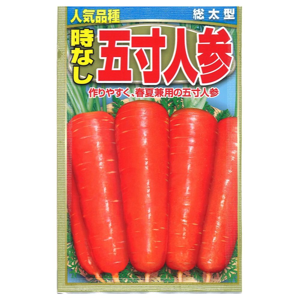 ニンジン種子　　時なし五寸人参
