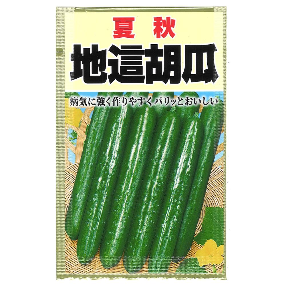 キュウリ種子　　地這胡瓜