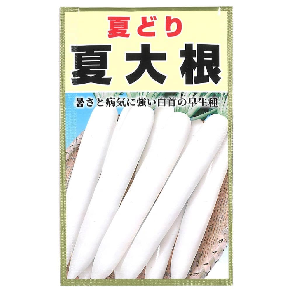 ダイコン種子　　夏大根
