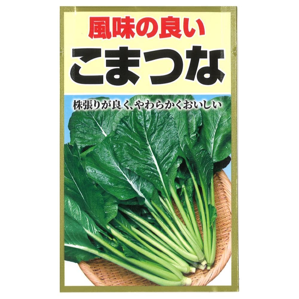 コマツナ種子　　こまつな