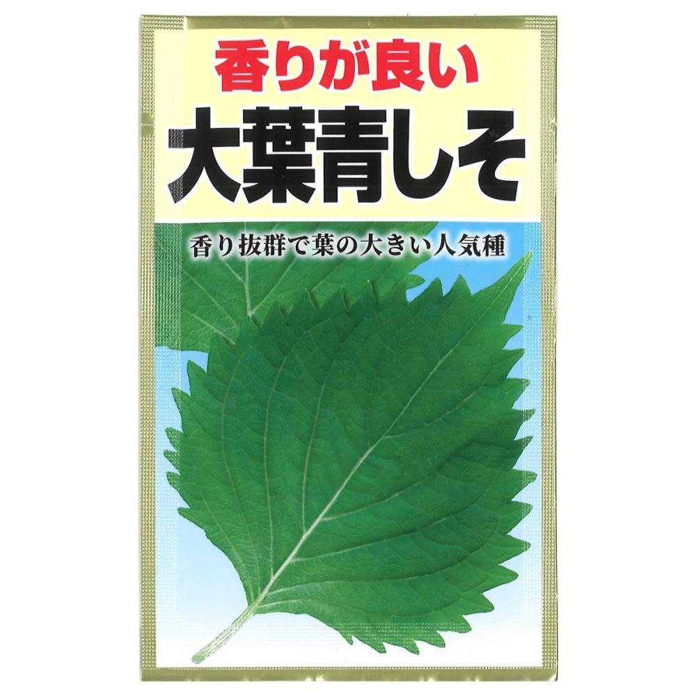 シソ種子　　大葉青しそ