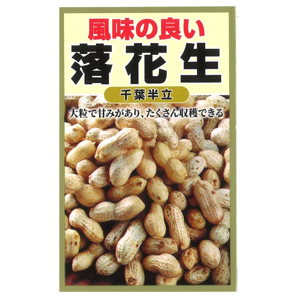 ラッカセイ種子　落花生