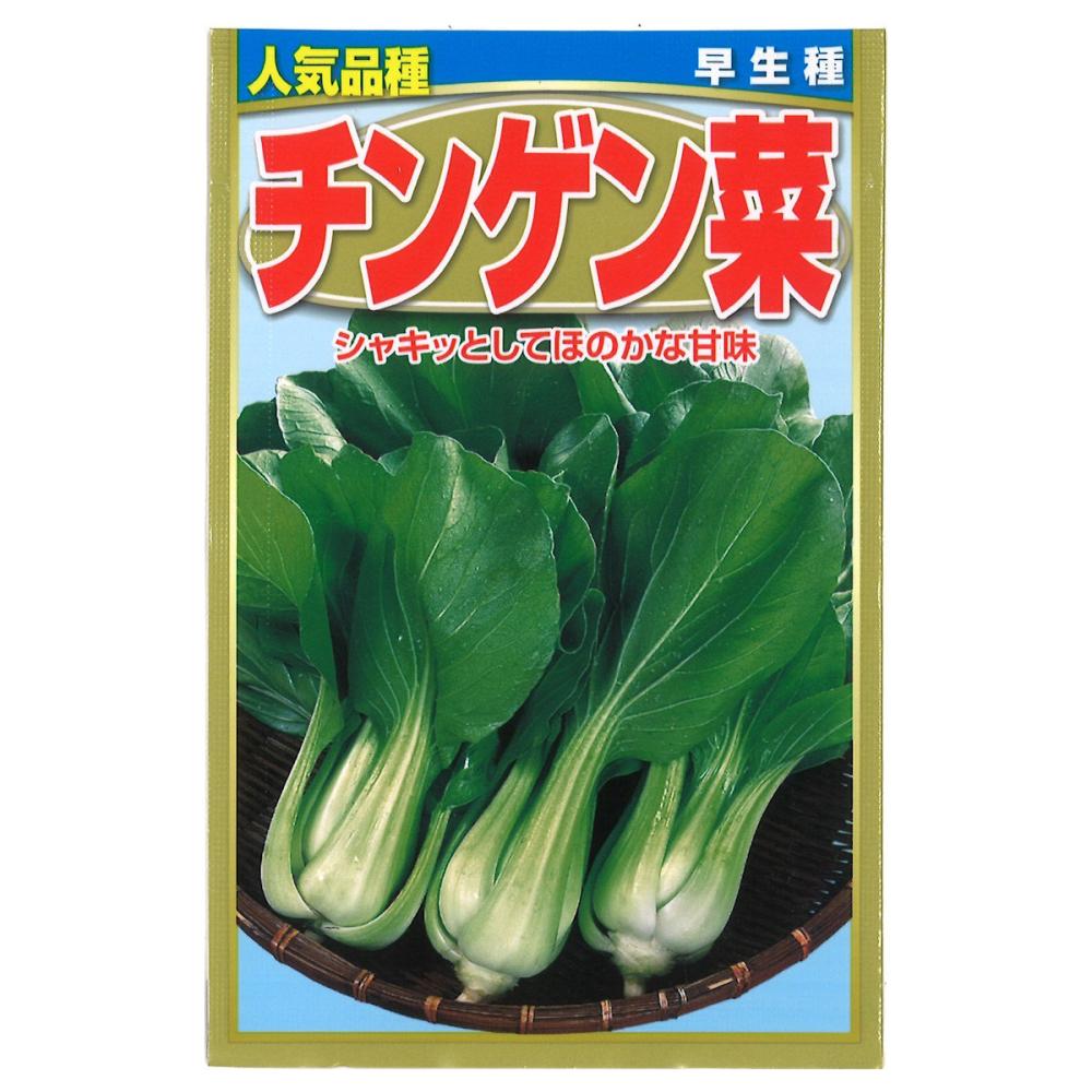 チンゲンサイ種子　　チンゲンサイ