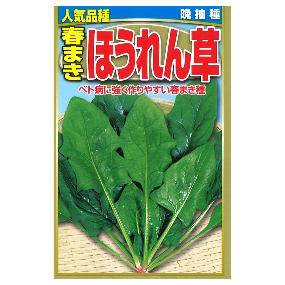 ホウレンソウ種子　　春まきほうれん草