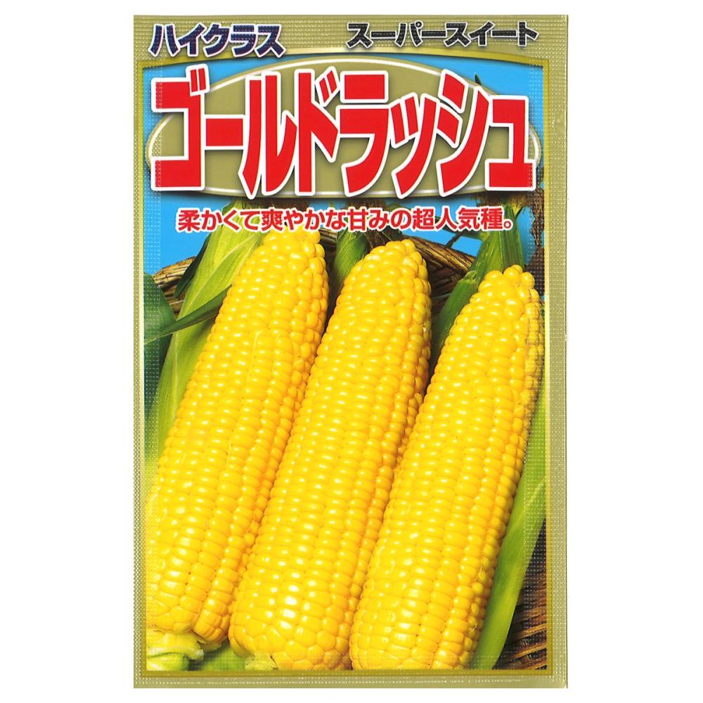 トウモロコシ種子　　とうもろこしゴールドラッシュ