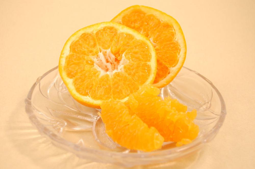 完熟はるみ　Ｌサイズ　約４．２ｋｇ（２４玉前後）【和歌山県有田川産】【注文期限：2026年3月31日】