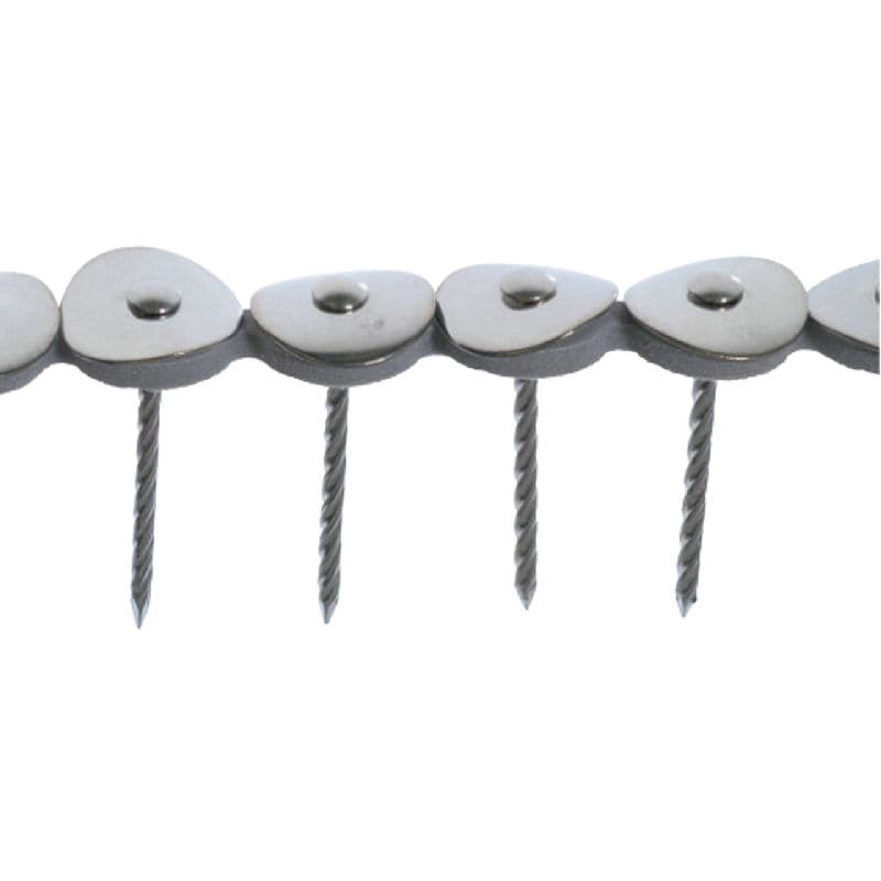 大頭スクリュー傘釘（中）　５０ｍｍ