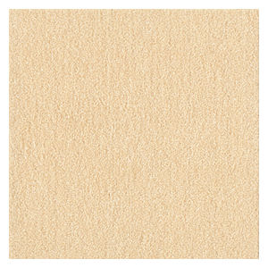 東リ　タイルカーペット　ウィズペットフロア　ＷＰＦ０２　クリーム