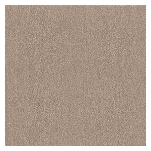 東リ　タイルカーペット　ウィズペットフロア　ＷＰＦ０３　モカ