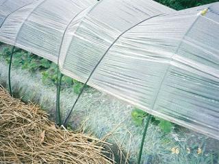 園芸トンネル支柱　５Ｐ　１１ｍｍ×２７０ｃｍ