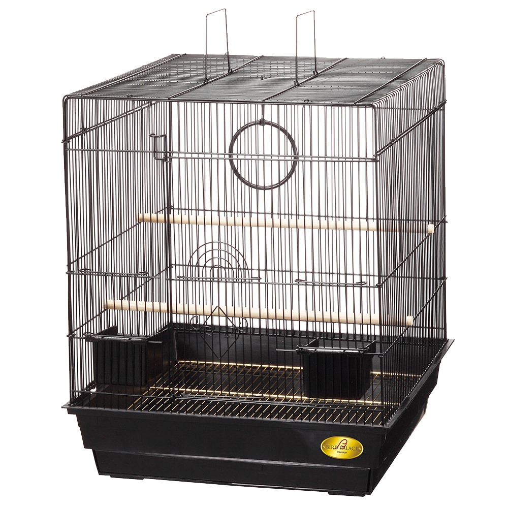 マルカン　バードパレス　キング