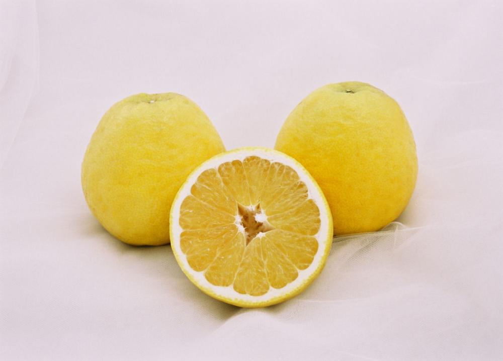 【お試し品】愛媛県愛南町産　河内晩柑（愛南ゴールドオレンジ）　約３ｋｇ（８～１２玉入）　【注文期限：２０２６年７月２０日】