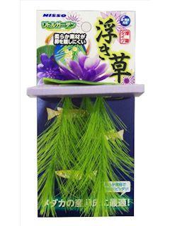 マルカン　リトルガーデン浮き草　バープル