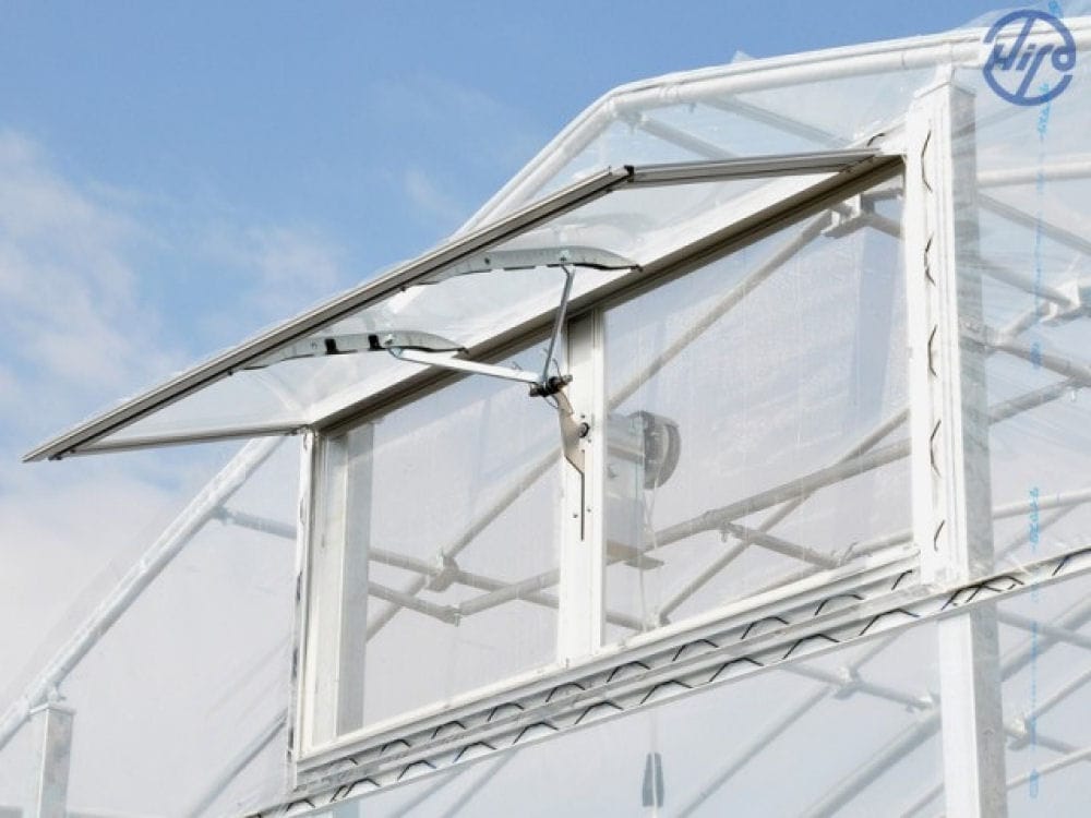 ニューツマソー