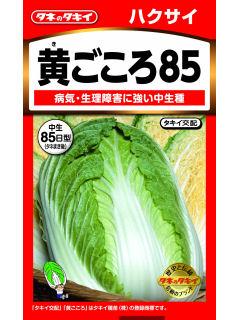 はくさい　黄ごころ８５