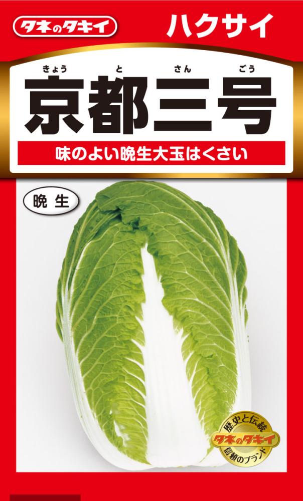 はくさい　京都三号