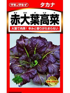 たかな　赤大葉高菜