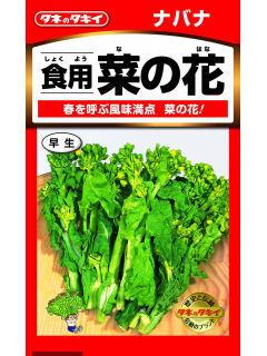 つけな　食用菜の花