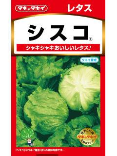 レタス　シスコ