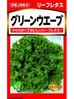 レタス種子　グリーンウェーブ