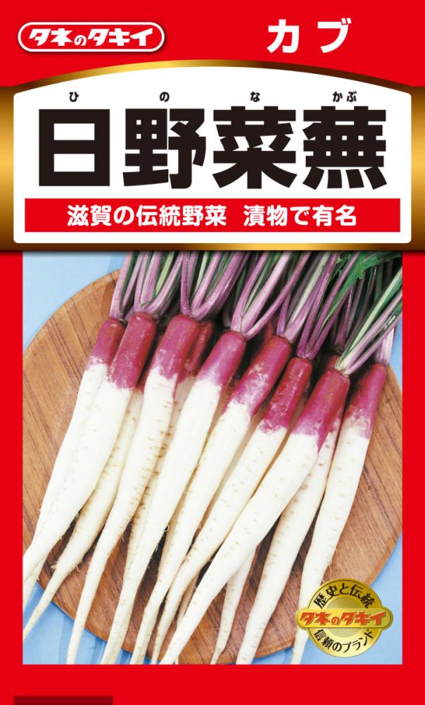 かぶ　日野菜蕪