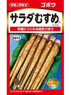 ゴボウ種子　サラダむすめ