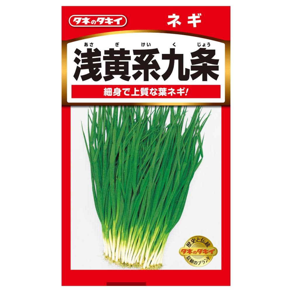 ネギ種子　浅黄系九条