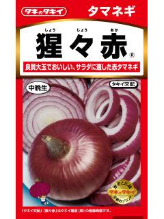 たまねぎ　猩々赤