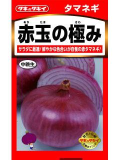 たまねぎ　赤玉の極み